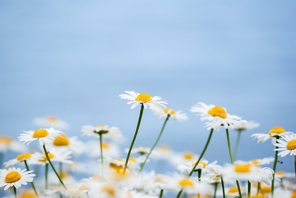 AdobeStock_316121180.jpeg