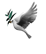 Colombe