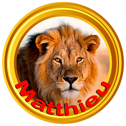 Matthieu A.png