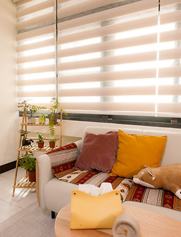 台南市區諮商室,有綠色植物讓空間更清新,有抱枕讓你感到更安全放鬆,希望每位來諮商的人都夠卸下武裝,好好地做自己。