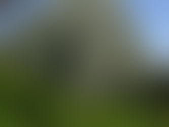 Auf geht's - Streuobst für alle auch 2024!