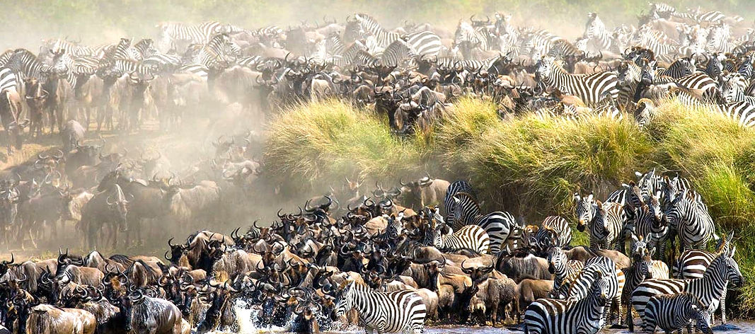great-migration-masai-mara-kenya_edited.jpg