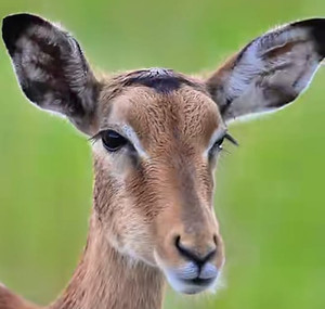 WhatsApp Image 2025-05-02 at 13.37_edited.jpg