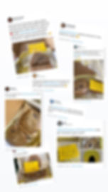 Thumbnail: 10 Fresh Baked Assorted Cookies