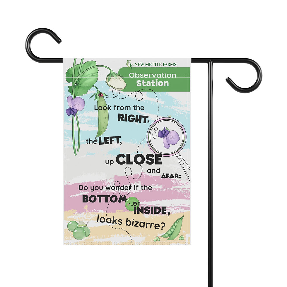 Thumbnail: Educational Garden "Oberservation Prompt" Activity Station Flag