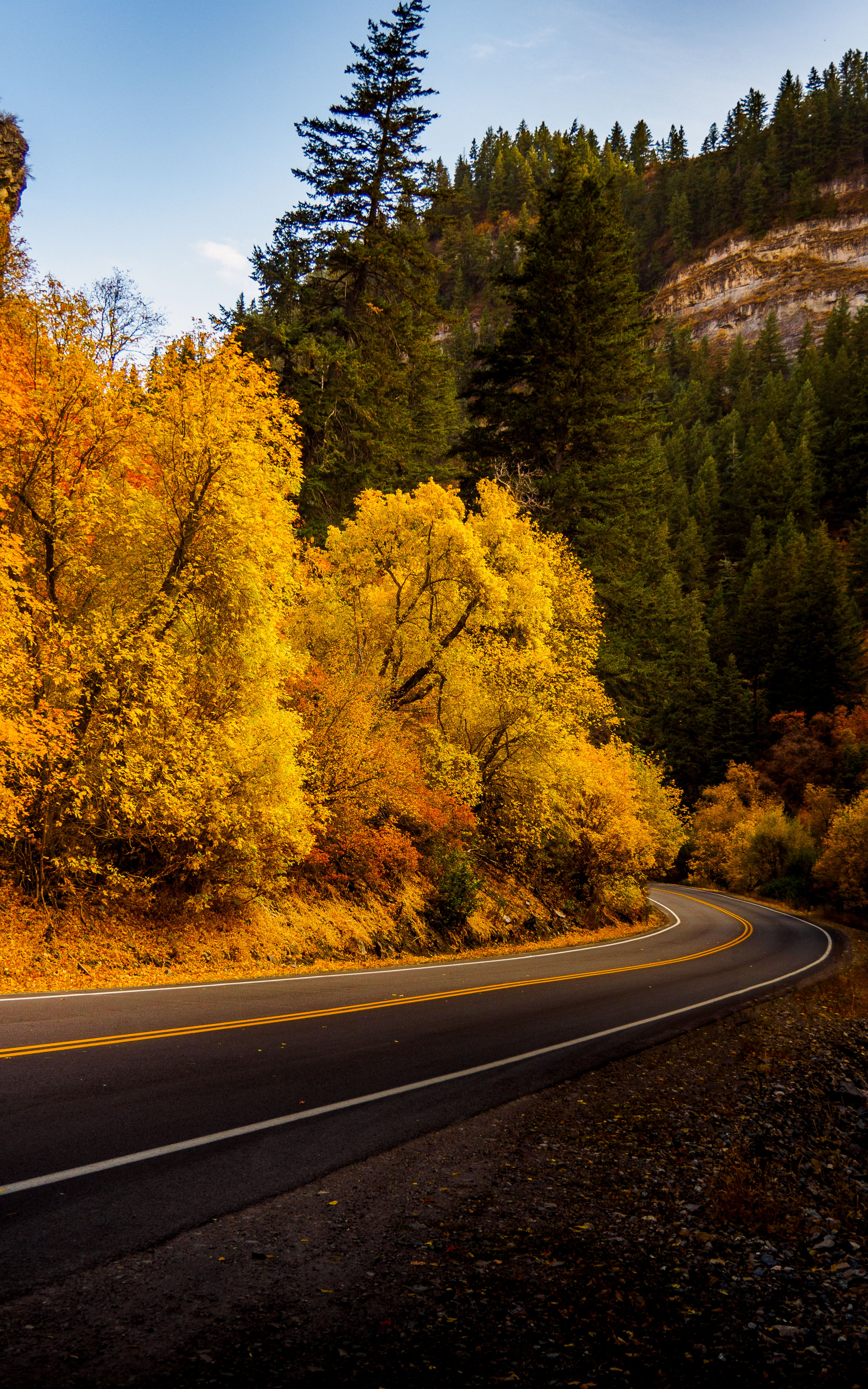 12' X 18" Fall in Provo Canyon, UT