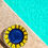 Thumbnail: BLUE plate
