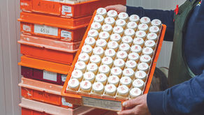 Cow data is pivotal to present and future success (Nov/Dec 25)