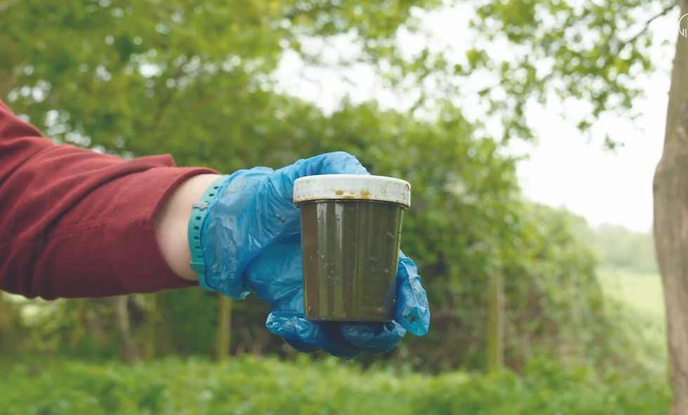 Test sample: faecal egg counts support anthelmintic-use decisions