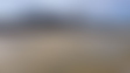 What makes a good slurry? (June 23)