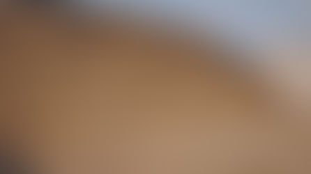 Reduce waste to mitigate milk-price squeeze (Jan 26)