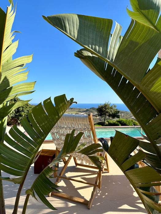 La Palma & La Luna - Dammuso Retreat - Pantelleria pool view palms tropical feeling
