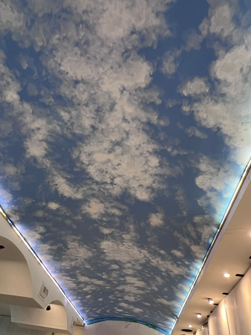 Swimming Pool Ceiling Mural, Blue Sky Ceiling Mural for Swimming Pool, Muswell Hill Ceiling Painting, Muswell Hill North London Swimming Pool Ceiling Painting