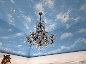 Day Sky Painting
Day Sky Ceiling
Day Sky Ceiling Painting
Mural
Murals
Mural Painting
Ceiling Murals
Sky Ceiling Painting
Blue Sky Painting
Blue Sky Ceiling Painting
Blue Sky Mural Painting
Ceiling Mural Artist
London Murals
London Mural Artist
