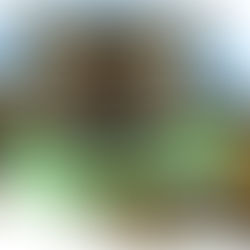 26th Sunday after Pentecost