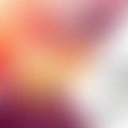 The Olive Branch Newsletter