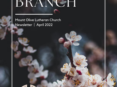 Olive Branch [APRIL 2022]