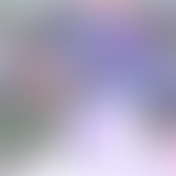 December 14, 2025                          Third Sunday of ADVENT