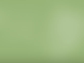 Olive Branch [SEPTEMBER 2021]