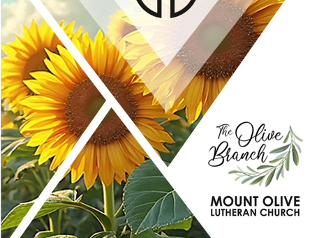 The Olive Branch Newsletter