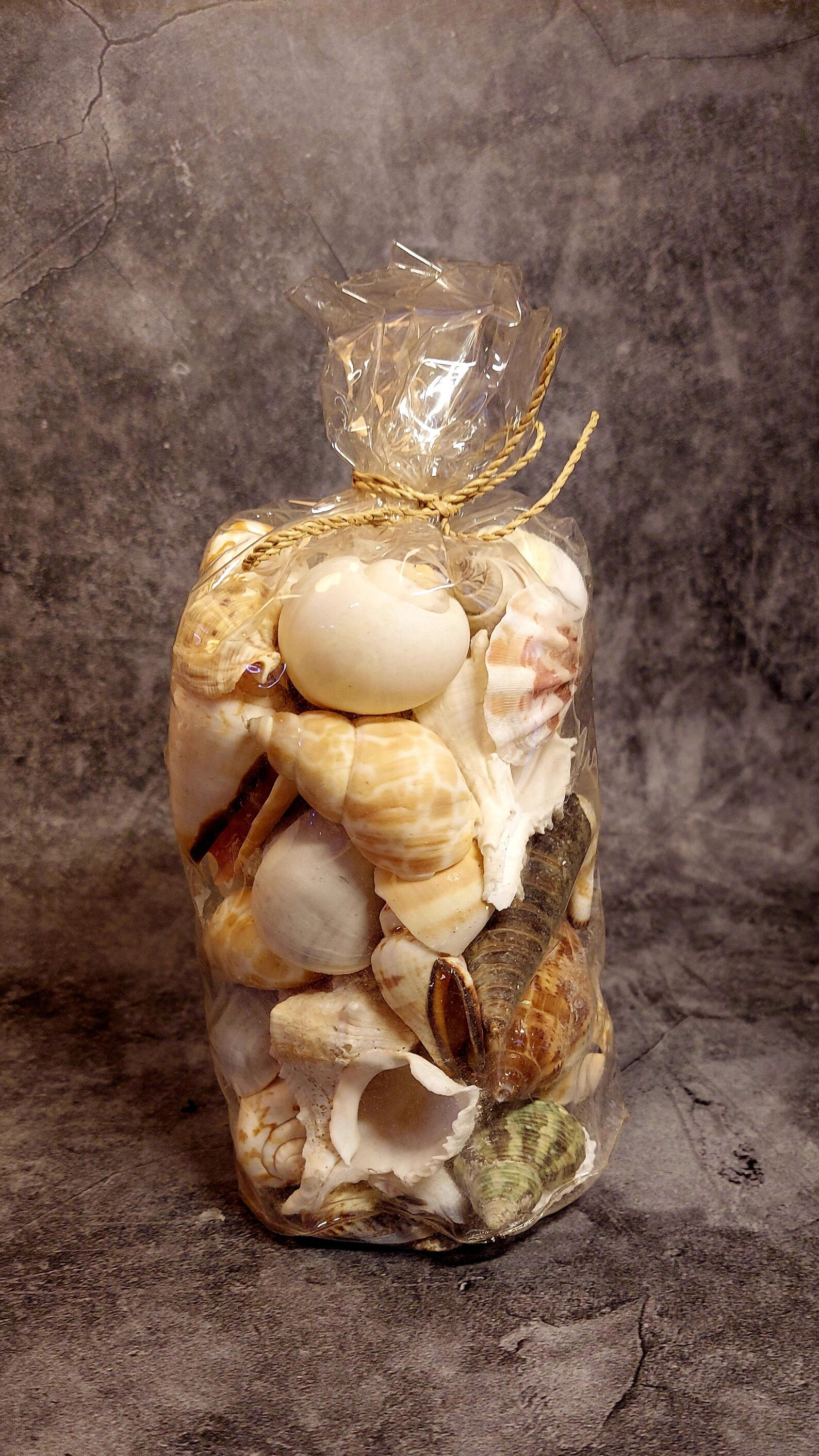 Olokun Seashells for Orisha of the Sea