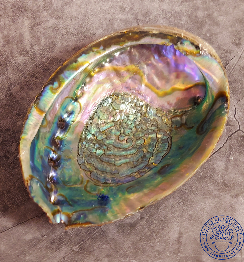 Thumbnail: Abalone Shell Bowl