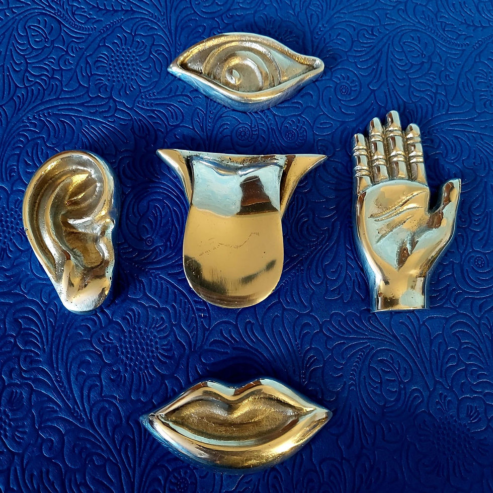 Thumbnail: Eshu Bilari Divination Tools Set for Elegua