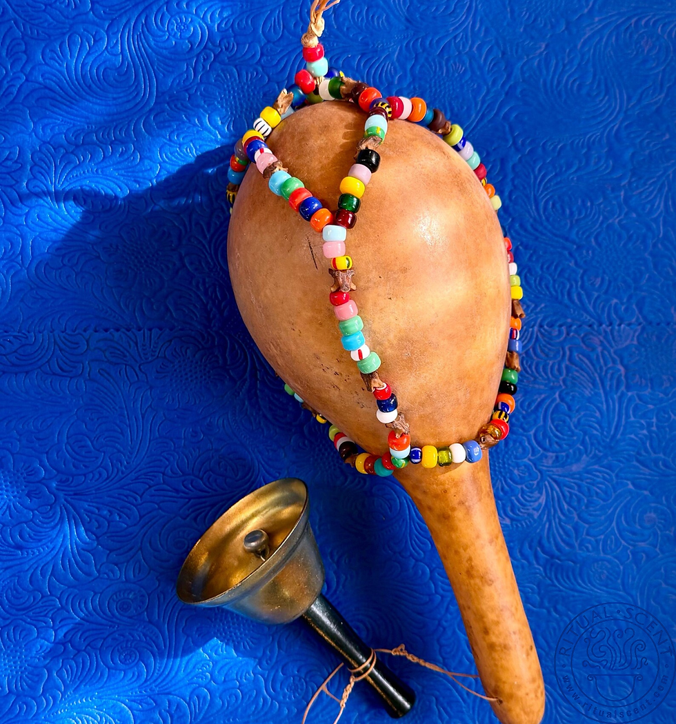 Thumbnail: Vodou Ason Zo Koulev Asogwe with Snake Vertebrae for Oungan & Manbo