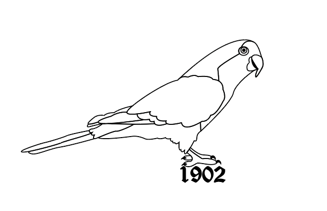 Outlined monk parakeet logo