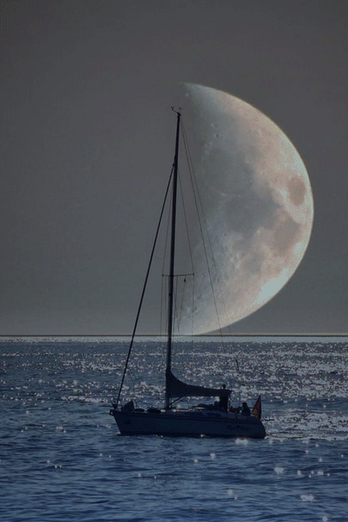 Sail.gif