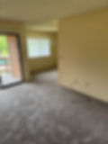 Living Room & Dining Room.jpg