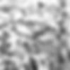 20220330_pondella_bentart_6891.png