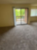 Living Room w_Balcony.jpg