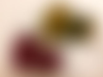 パラソルさんの靴下