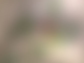 花が綺麗で
