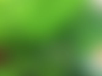 植物