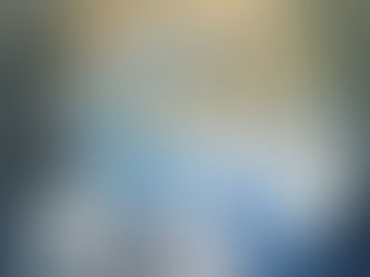 新しい試み。(長文)