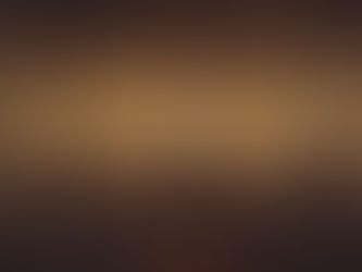 お客様からの感想ー「光の雨」