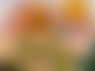 記憶 ひまわり 笑顔