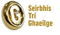 Seirbhís Trí Ghaeilge.jpg
