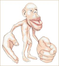 homonculus de Penfield