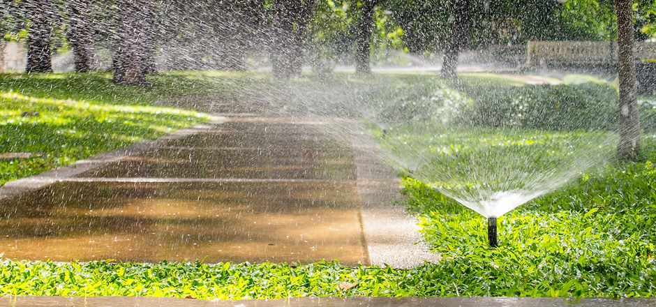 Automatic sprinkler watering in the garden.jpg