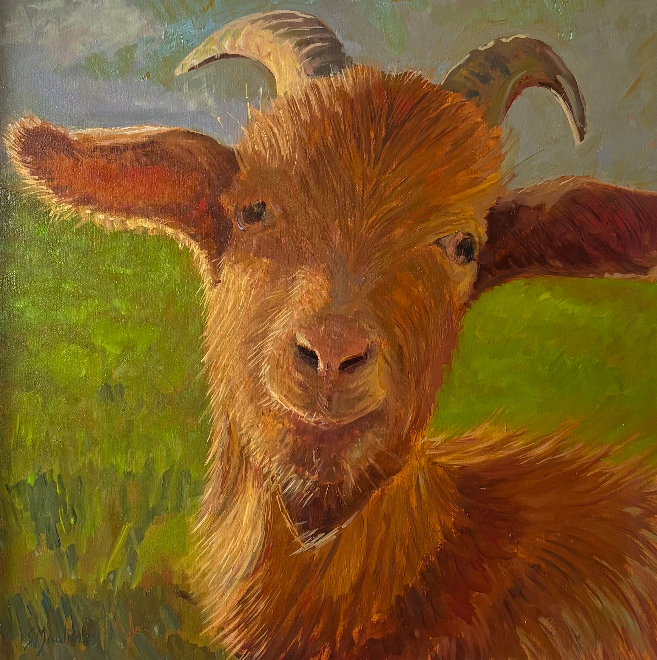 Soft and Cuddly, but mind my horns