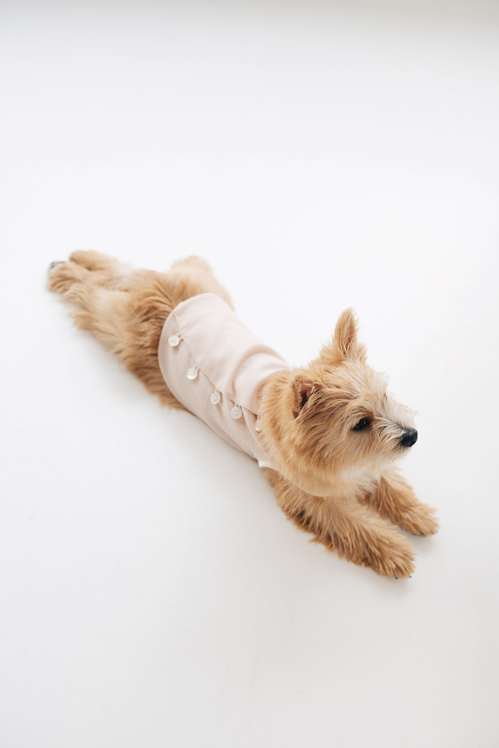 Thumbnail: Naoki Vest
