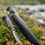 Miniatyrbilde: Treskjæring kniv - 23Black 85
