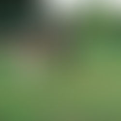 Finding support and help: how your community can make a difference