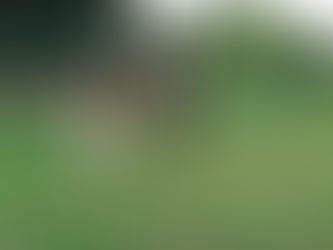 Finding support and help: how your community can make a difference