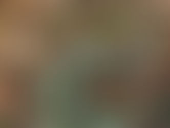 Hinoe色の日々vol,62「雨上がりに思うこと」