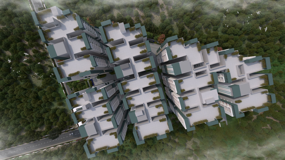 Y20-38-Ramana-Ani (15).jpg