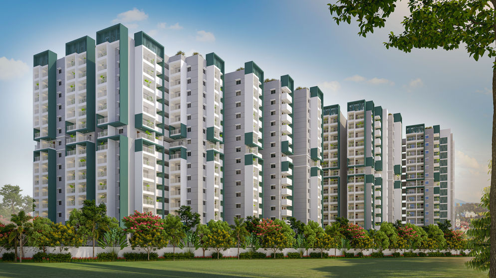 Y20-38-Ramana-Ani (5).jpg